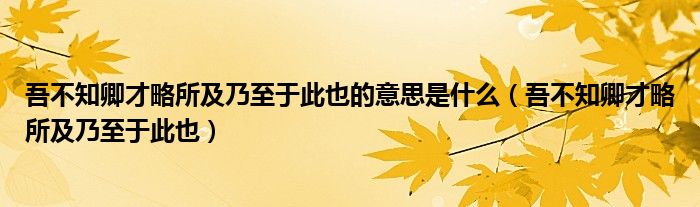 吾不知卿才略所及乃至于此也的意思是什么（吾不知卿才略所及乃至于此也）