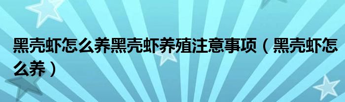 黑壳虾怎么养黑壳虾养殖注意事项（黑壳虾怎么养）