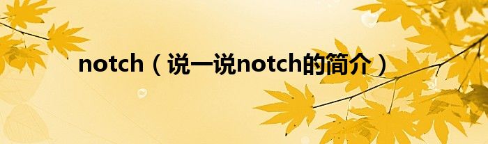 notch（说一说notch的简介）