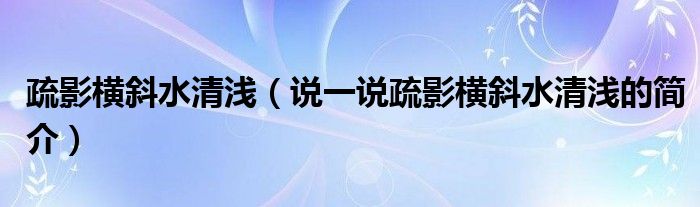 疏影横斜水清浅（说一说疏影横斜水清浅的简介）