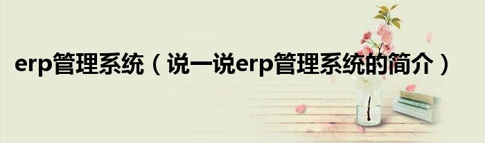 erp管理系统（说一说erp管理系统的简介）