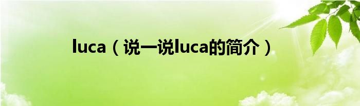 luca（说一说luca的简介）