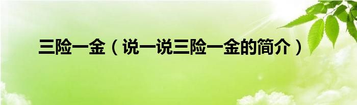 三险一金（说一说三险一金的简介）