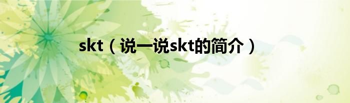 skt（说一说skt的简介）