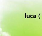 luca（说一说luca的简介）