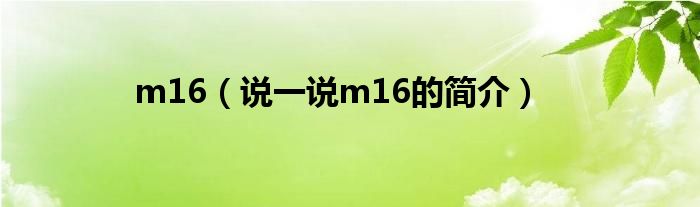 m16（说一说m16的简介）