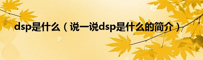 dsp是什么（说一说dsp是什么的简介）