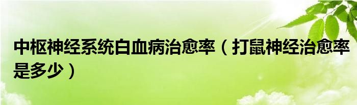 中枢神经系统白血病治愈率（打鼠神经治愈率是多少）