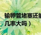 输卵管堵塞还能怀孕吗（输卵管通而不畅怀孕几率大吗）