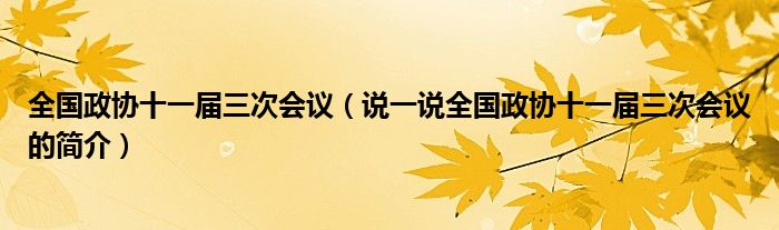 全国政协十一届三次会议（说一说全国政协十一届三次会议的简介）