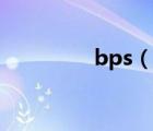 bps（说一说bps的简介）