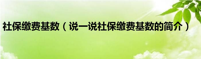 社保缴费基数（说一说社保缴费基数的简介）