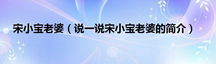 宋小宝老婆（说一说宋小宝老婆的简介）