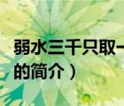 弱水三千只取一瓢（说一说弱水三千只取一瓢的简介）