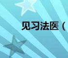 见习法医（说一说见习法医的简介）