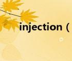 injection（说一说injection的简介）