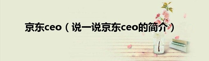 京东ceo（说一说京东ceo的简介）