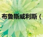 布鲁斯威利斯（说一说布鲁斯威利斯的简介）