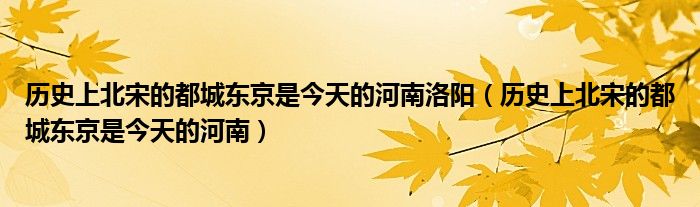 历史上北宋的都城东京是今天的河南洛阳（历史上北宋的都城东京是今天的河南）