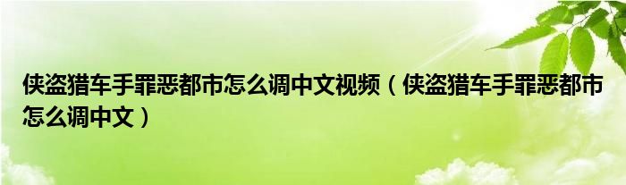 侠盗猎车手罪恶都市怎么调中文视频（侠盗猎车手罪恶都市怎么调中文）