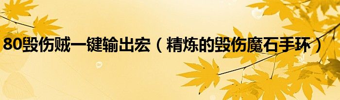 80毁伤贼一键输出宏（精炼的毁伤魔石手环）