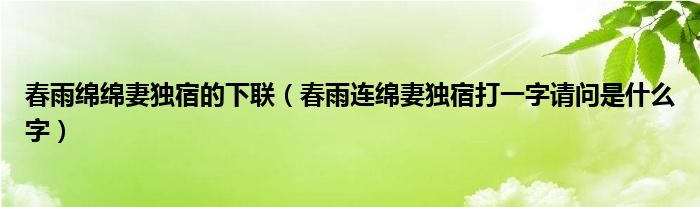 春雨绵绵妻独宿的下联（春雨连绵妻独宿打一字请问是什么字）