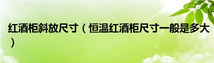 红酒柜斜放尺寸（恒温红酒柜尺寸一般是多大）