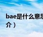 bae是什么意思（说一说bae是什么意思的简介）