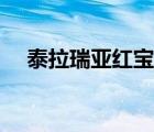 泰拉瑞亚红宝石公司（泰拉瑞亚红宝石）