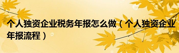 个人独资企业税务年报怎么做（个人独资企业年报流程）