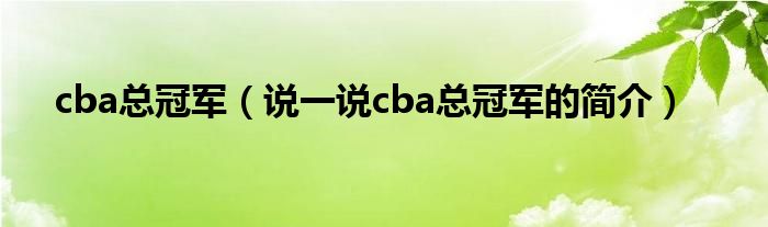 cba总冠军（说一说cba总冠军的简介）