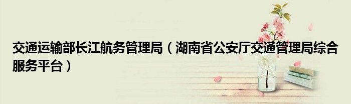 交通运输部长江航务管理局（湖南省公安厅交通管理局综合服务平台）