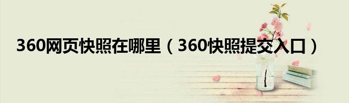 360网页快照在哪里（360快照提交入口）