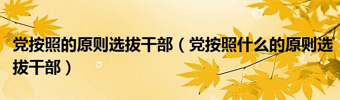 党按照的原则选拔干部（党按照什么的原则选拔干部）