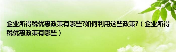 企业所得税优惠政策有哪些?如何利用这些政策?（企业所得税优惠政策有哪些）