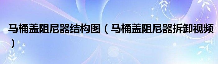 马桶盖阻尼器结构图（马桶盖阻尼器拆卸视频）