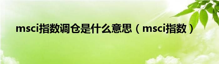 msci指数调仓是什么意思（msci指数）