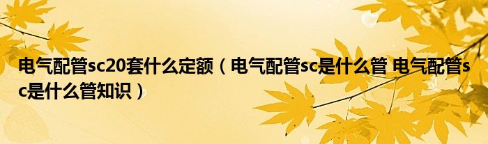 电气配管sc20套什么定额（电气配管sc是什么管 电气配管sc是什么管知识）