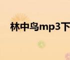 林中鸟mp3下载微盘（林中鸟mp3下载）