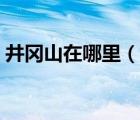 井冈山在哪里（说一说井冈山在哪里的简介）