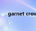 garnet crow 演唱会（garnet crow）