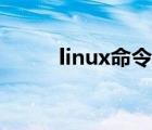 linux命令菜鸟（linux菜鸟教程）