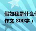 假如我是什么作文500字左右（假如我是什么作文 800字）