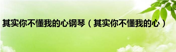 其实你不懂我的心钢琴（其实你不懂我的心）