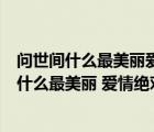 问世间什么最美丽爱情绝对是个奇迹下一句是什么（问世间什么最美丽 爱情绝对是个奇迹是哪首歌）