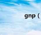 gnp（说一说gnp的简介）