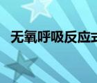 无氧呼吸反应式示意图（无氧呼吸反应式）