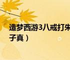 造梦西游3八戒打朱子真视频（造梦西游3 用八戒怎么打朱子真）