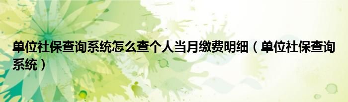 单位社保查询系统怎么查个人当月缴费明细（单位社保查询系统）