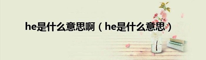 he是什么意思啊（he是什么意思）